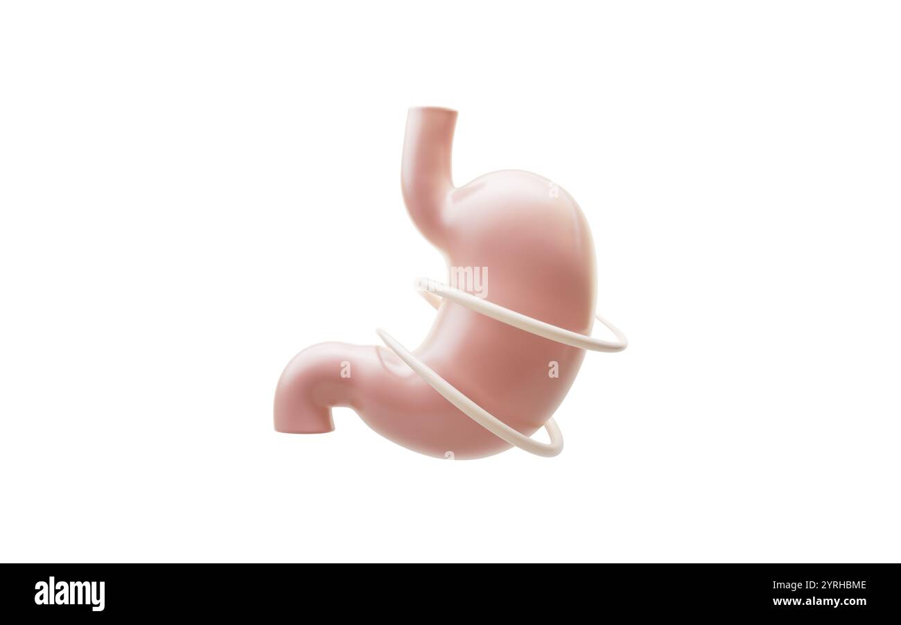 Absorption de l'estomac et des nutriments, rendu 3D. Illustration 3D. Banque D'Images