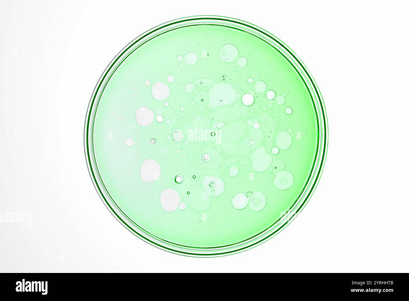 Un gros plan artistique de bulles liquides vertes dans une boîte de Pétri. L'image capture l'interaction de la lumière et de la texture, créant un p abstrait captivant Banque D'Images