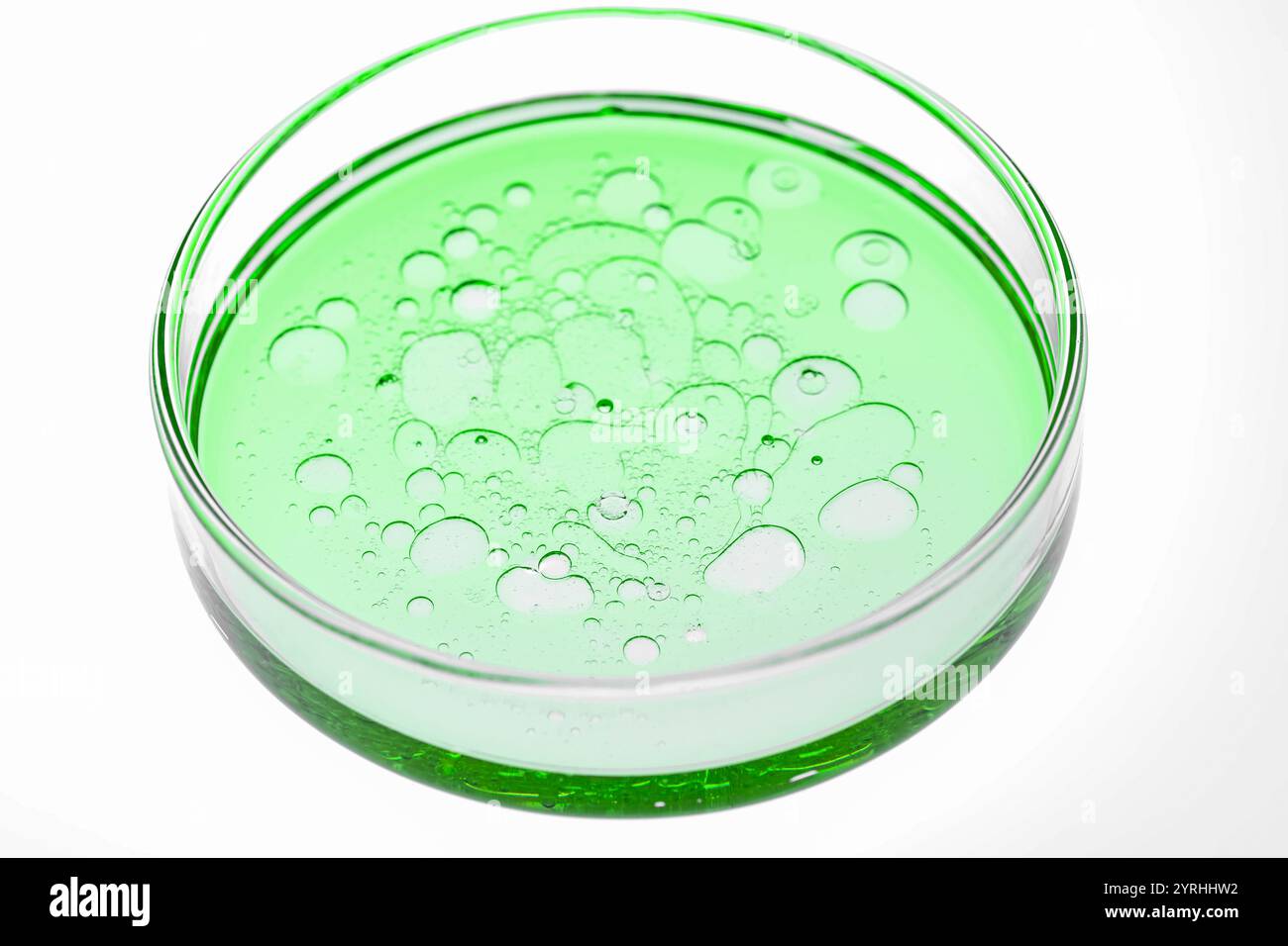 Le liquide vert avec des bulles remplit une boîte de Pétri, offrant une vue rapprochée détaillée. La teinte vibrante et les formes circulaires mettent en valeur un art scientifique et artistique Banque D'Images