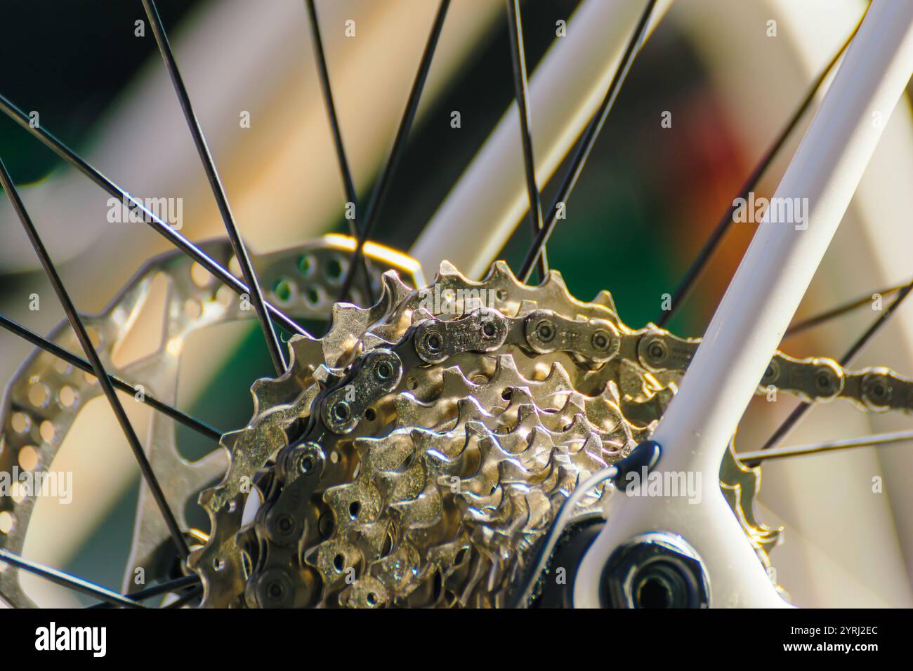 engrenages de précision et disque de frein d'un vélo de course de route, composants de vélo : disque d'engrenage et disque de frein détails Banque D'Images