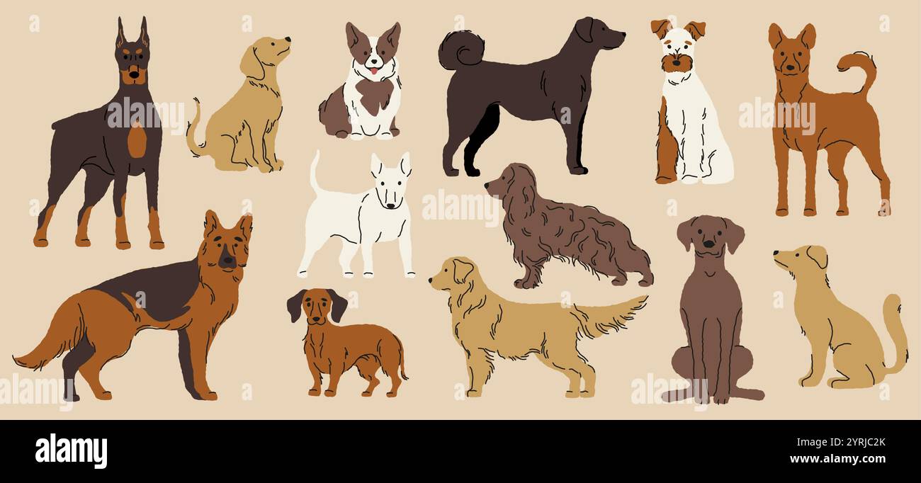 Collection de chiens différents. Races de chiots mignons de dessin animé, animaux domestiques drôles dans diverses poses et situations, personnages d'animaux de compagnie colorés. Vecteur isolé Illustration de Vecteur