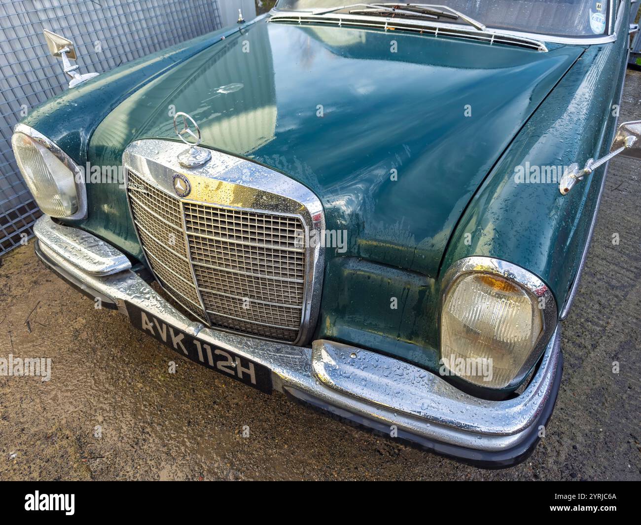 Gros plan d'une Mercedes-Benz 280SE vintage 1970 verte classique avec phares ronds distinctifs et calandre chromée dans une aire de stationnement Banque D'Images