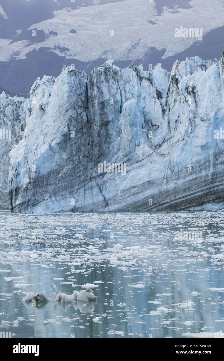 Glace glaciale. Johns Hopkins Inlet. Glacier Johns Hopkins. Parc national de Glacier Bay. Alaska du Sud-est. ÉTATS-UNIS. Banque D'Images