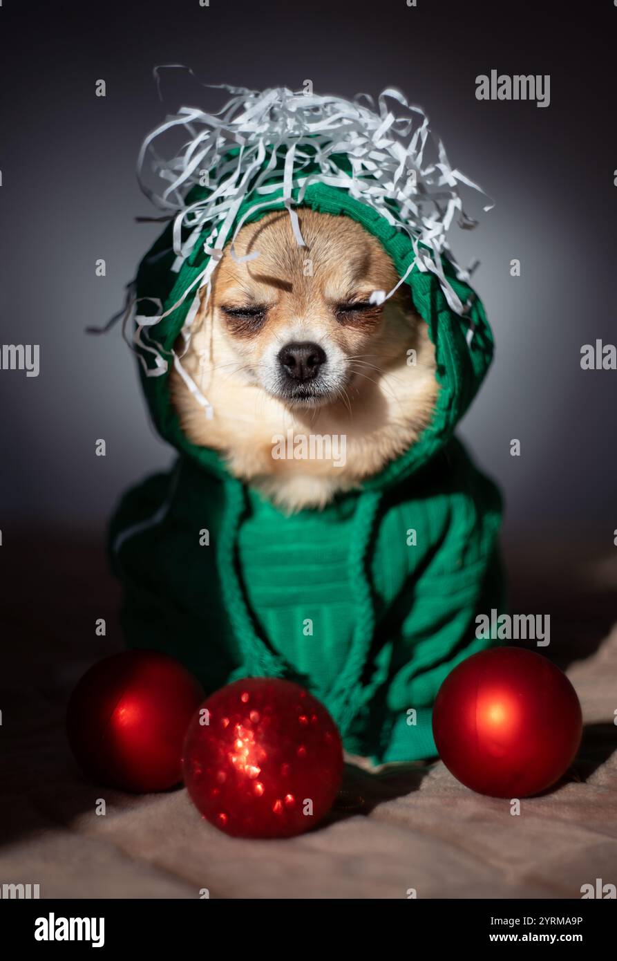 Sweat à Capuche Noël Humour Chats Noirs - Design Arbre De Noël Chat - Cadeau Drôle Pour Hommes, Femmes - 6