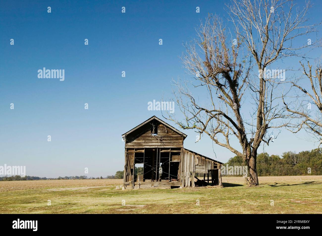Cotton Field Shack. Stovall Farms. Énorme Cotton Plantation qui employait de nombreux musiciens de blues comme ouvriers. Stovall. Delta du Mississippi. Mississippi. ÉTATS-UNIS Banque D'Images