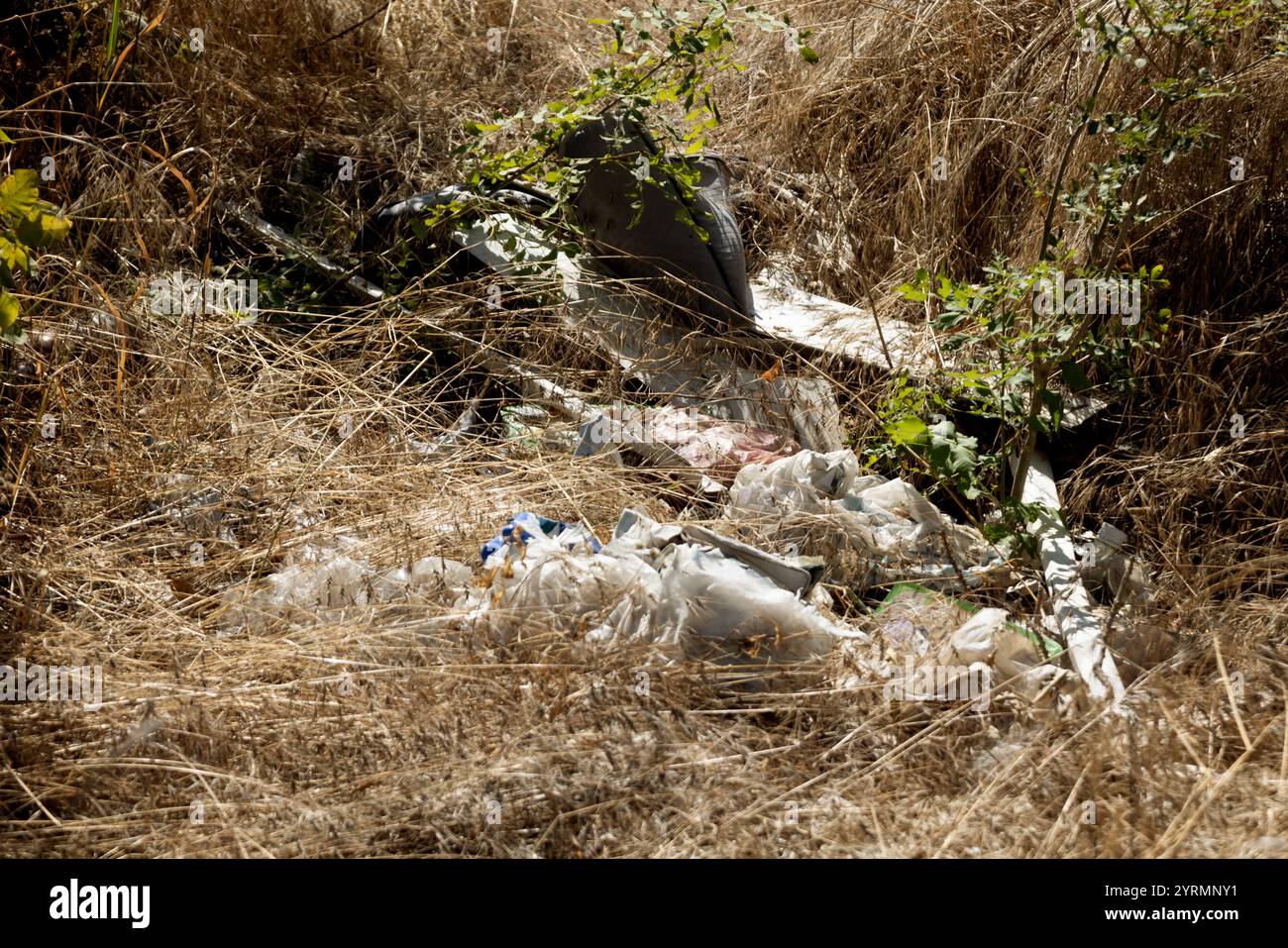 Tas d'ordures ménagères déversement illégal pollution forestière problème environnemental déchets déchets déchets nature contamination écologique tas de déchets urbain était Banque D'Images