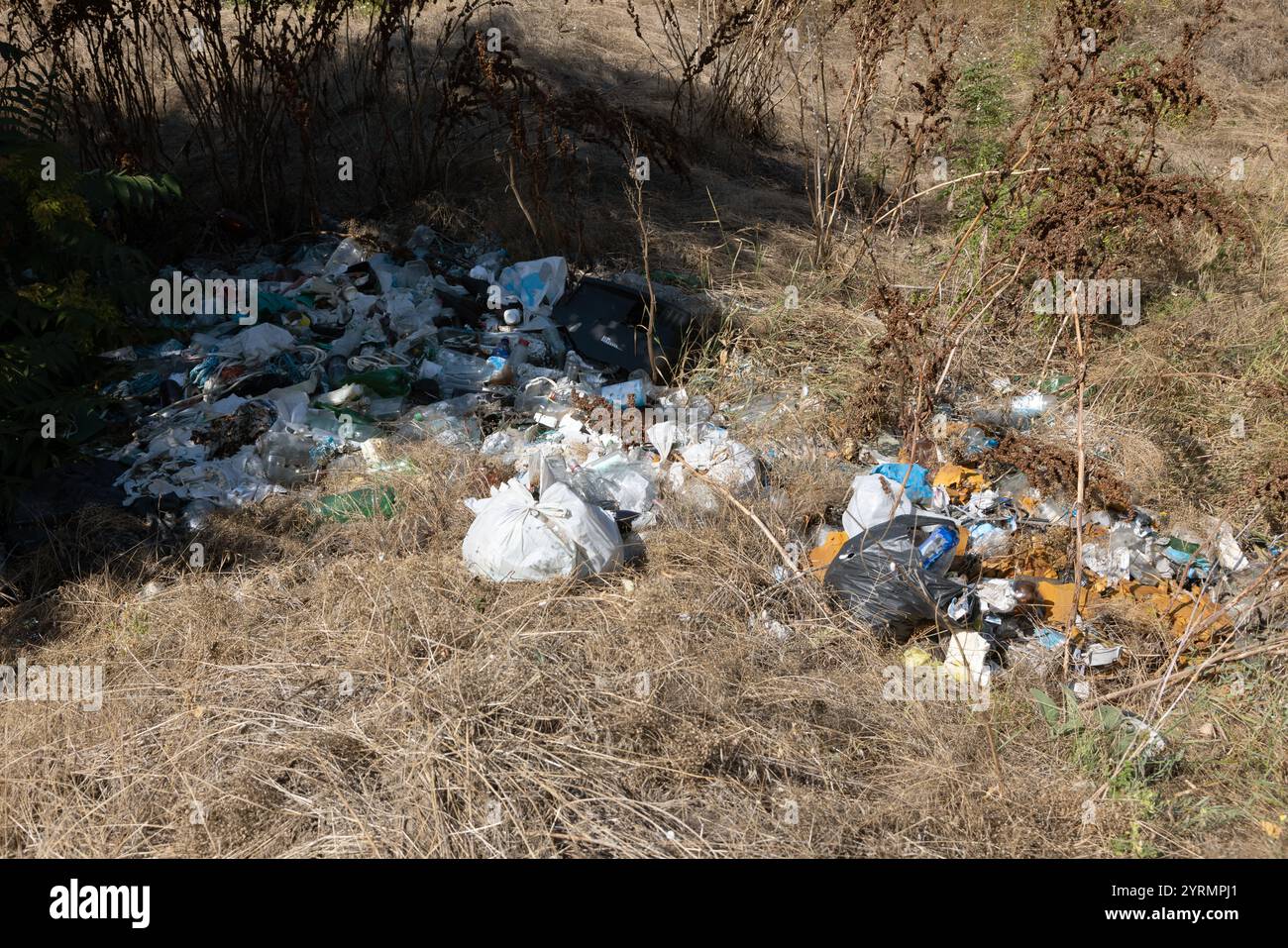 Tas d'ordures ménagères déversement illégal pollution forestière problème environnemental déchets déchets déchets nature contamination écologique tas de déchets urbain était Banque D'Images