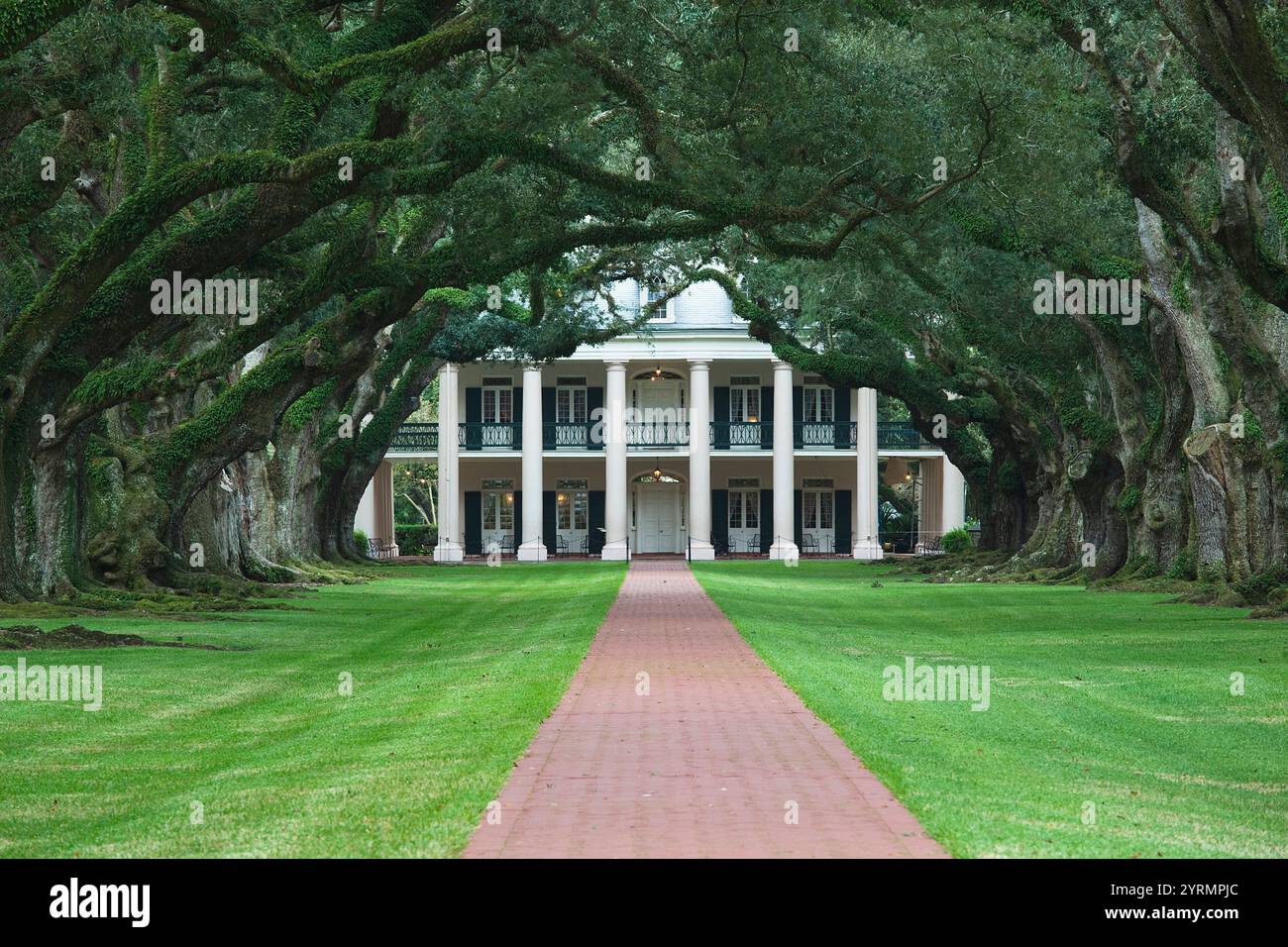 États-Unis, Louisiane, Vacherie, Oak Alley Plantation, anti-bellum River Road Mansion Banque D'Images