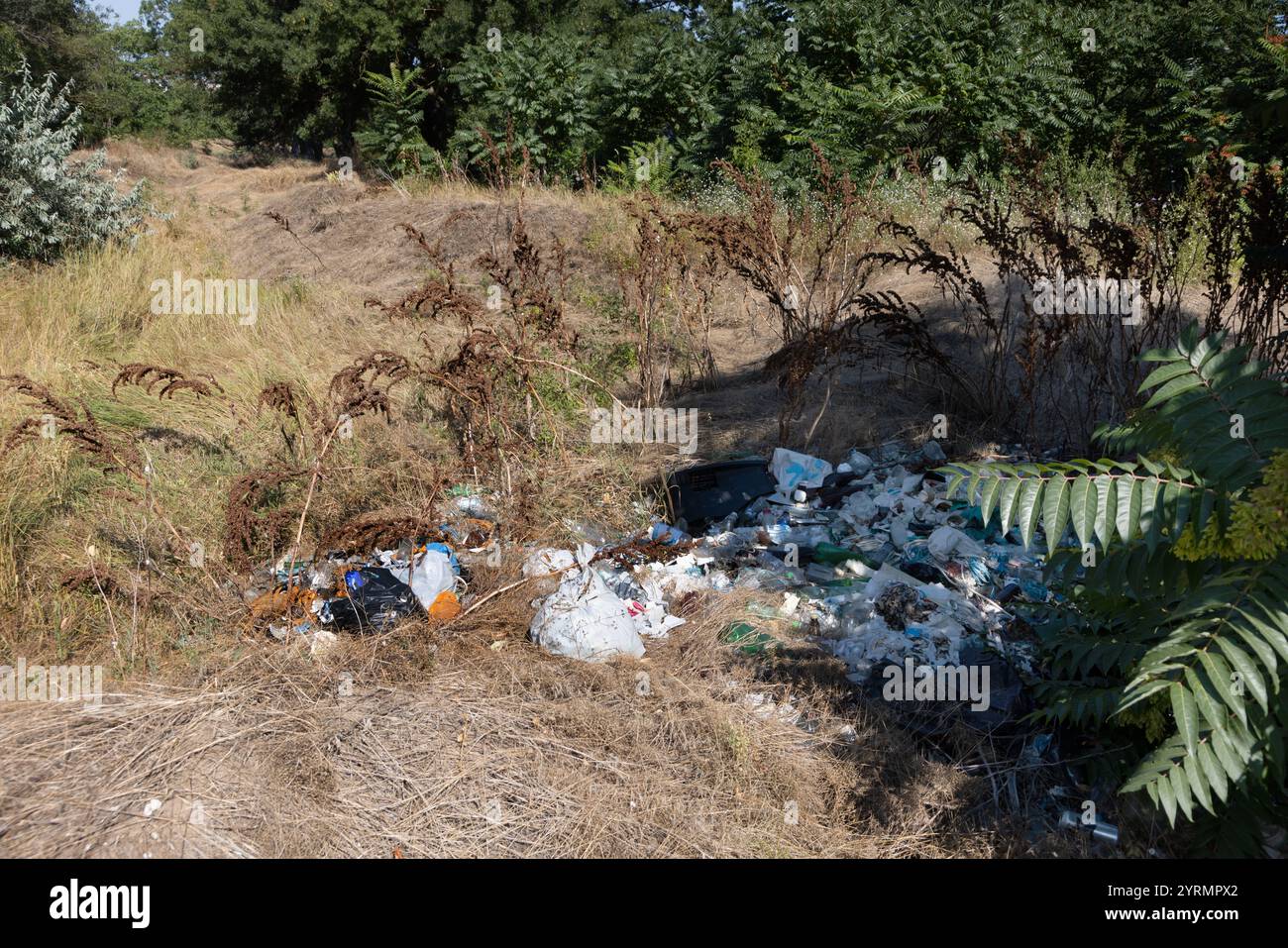 Tas d'ordures ménagères déversement illégal pollution forestière problème environnemental déchets déchets déchets nature contamination écologique tas de déchets urbain était Banque D'Images