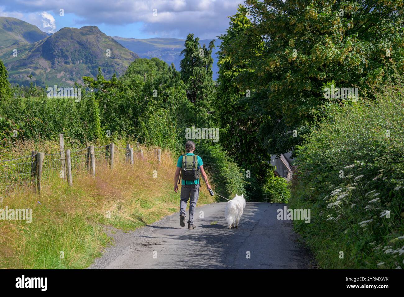 Homme promenant chien à Loweswater, Lake District Banque D'Images