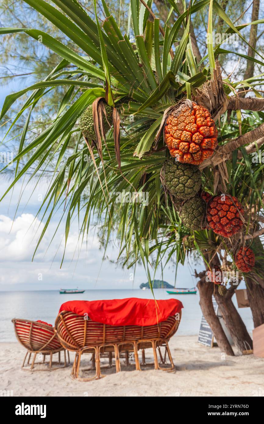 Cambodge, Sihanoukville, Otres Beach, bar de plage Banque D'Images