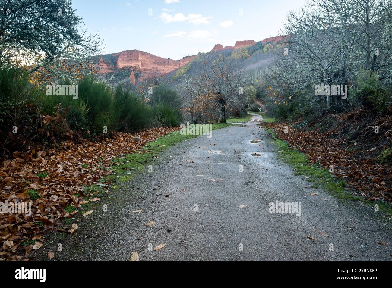 Route de gravier humide menant à las medulas, anciennes mines d'or romaines Banque D'Images