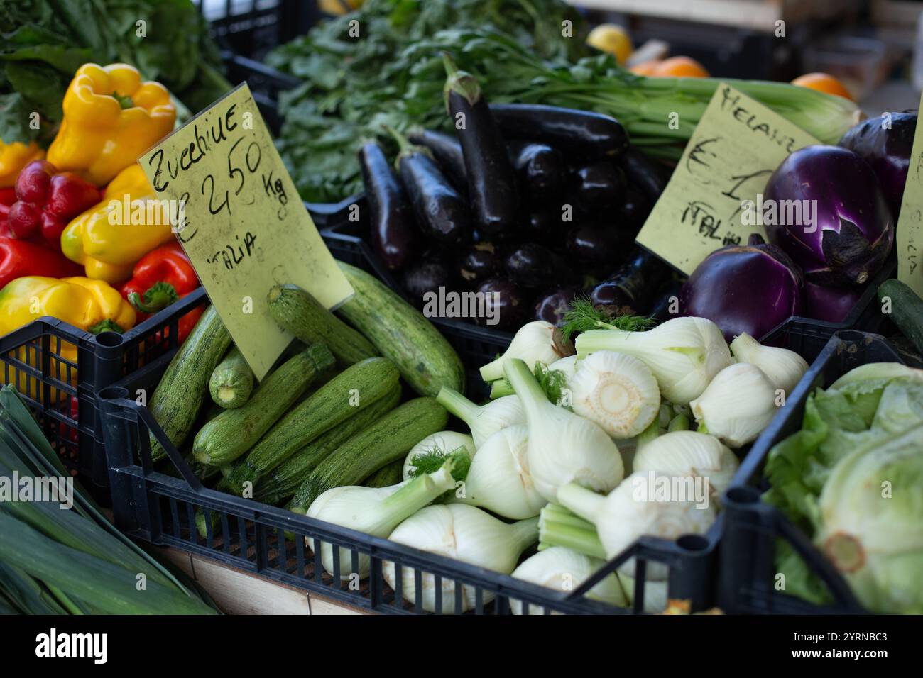 Florence, Italie, marché, légumes, langue italienne, courgette, aubergine, aubergine, poivrons Banque D'Images