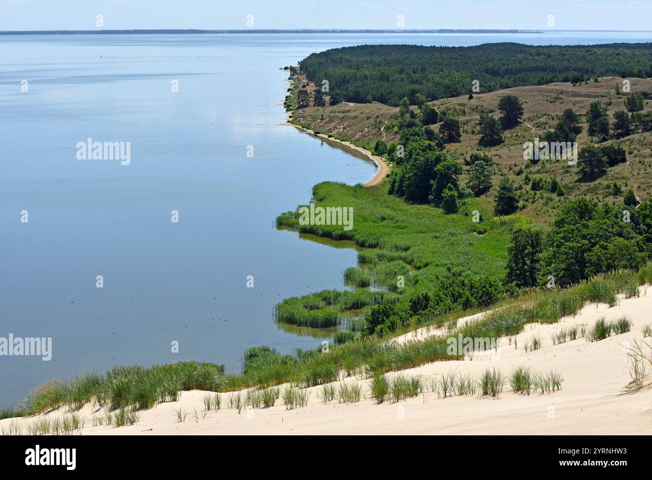 Dunes de sable mort, réserve naturelle de Nagliai, flèche de Curonie, Lituanie, États baltes, Europe du Nord Banque D'Images