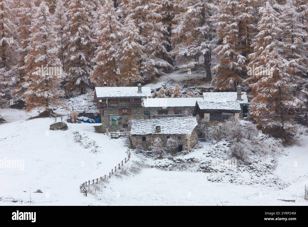 Ferme de montagne, dans la neige, hiver, parc national Gran Paradiso, Italie Banque D'Images