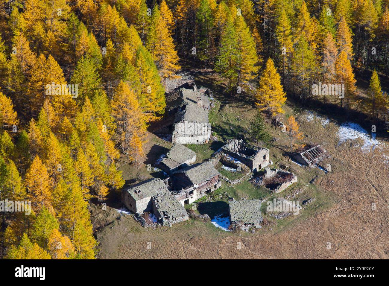 Ferme de montagne, forêt de mélèzes, automne, parc national Gran Paradiso, Italie Banque D'Images