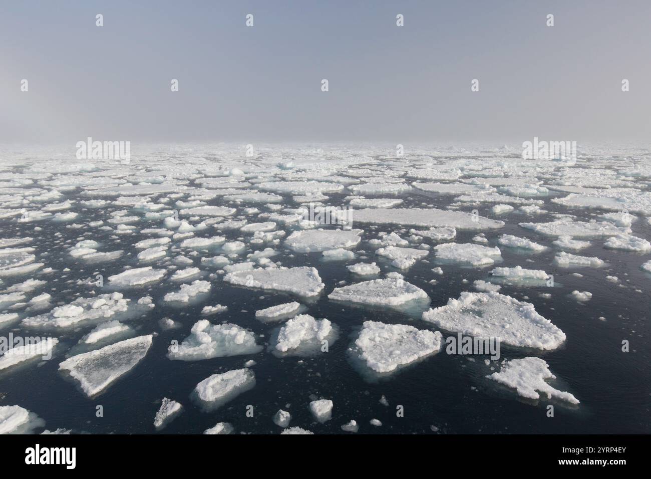 Banquise dans l'océan Arctique, Nordaustland, Spitzberg, Norvège Banque D'Images