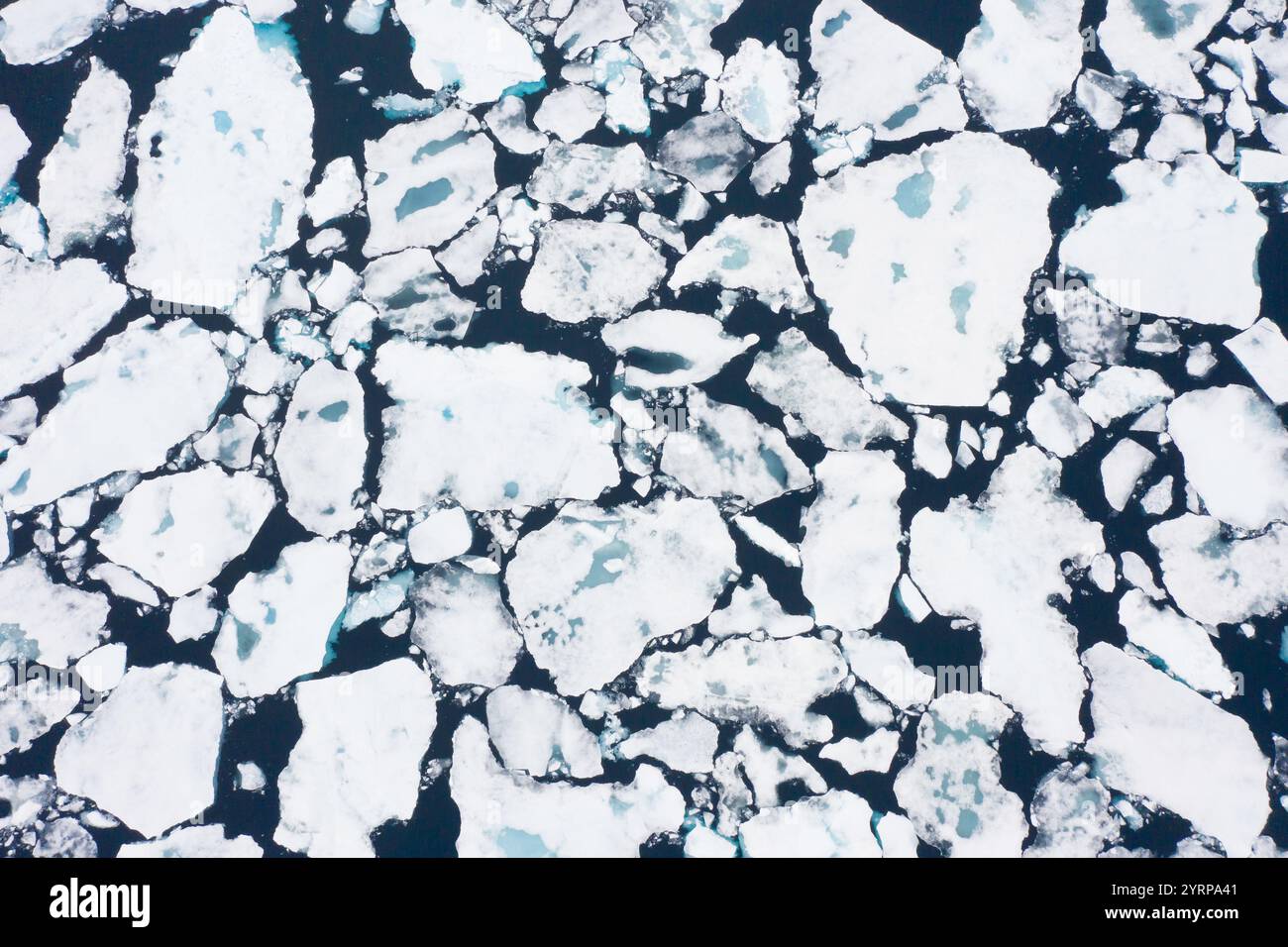Glace dérivante dans l'océan Arctique, Nordaustland, Spitzberg, Norvège Banque D'Images