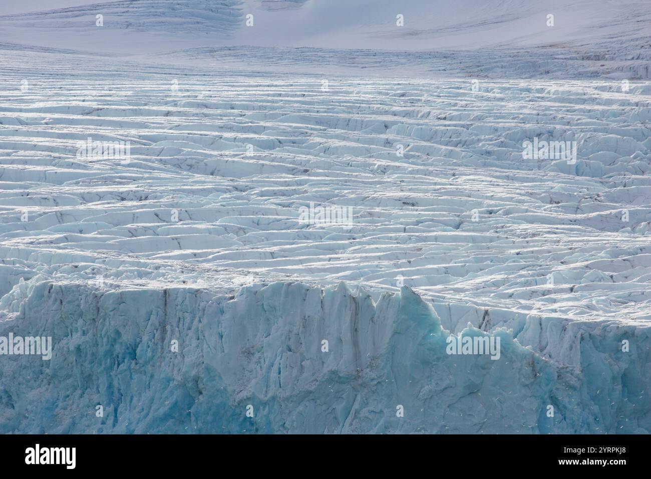 Formation de glace sur le glacier Smeerenburgbreen, Bjornfjord, Spitzberg, Norvège Banque D'Images