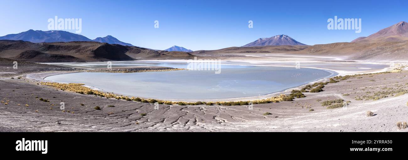 Panorama de Laguna Honda, bordée de quelques buissons, route de la lagune, San Pedro de Quemes, Departamento Potosi, Bolivie, Amérique du Sud Banque D'Images