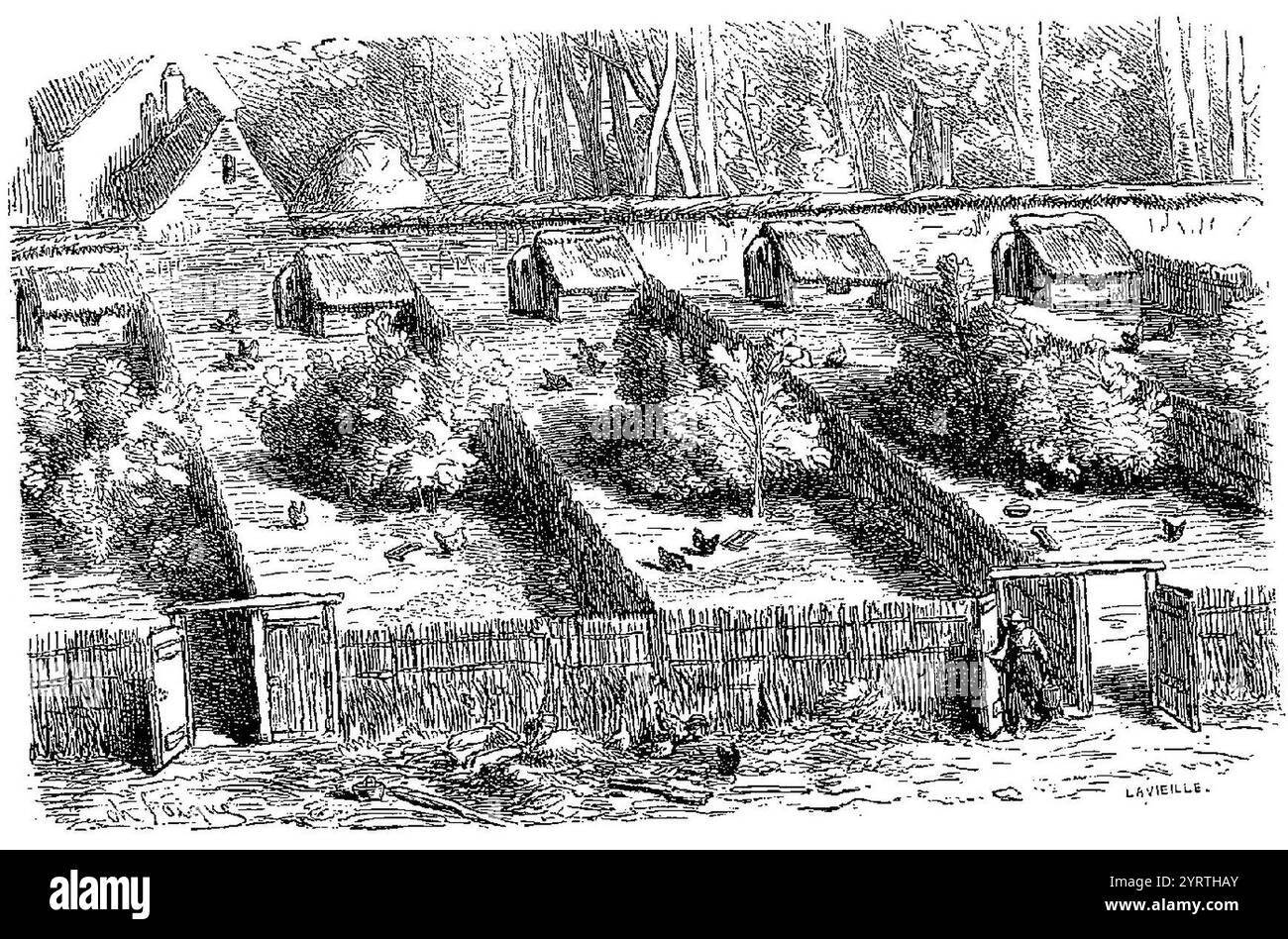 Charles-Émile Jacque - Poulailler grav 3 p14. Banque D'Images