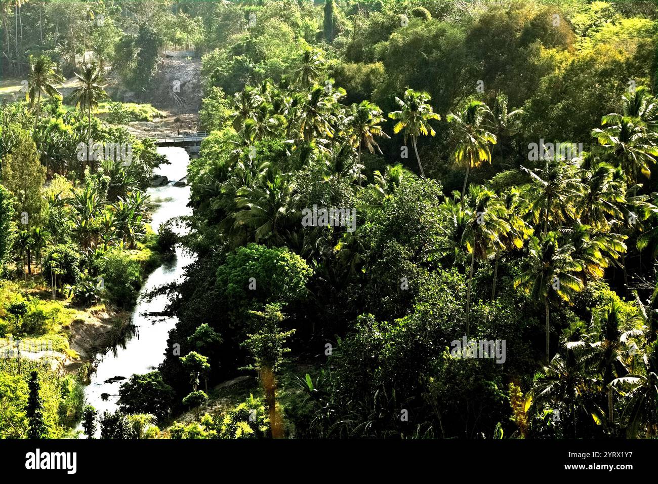Paysage d'une vallée verte traversée par une rivière à Praiyawang, Rindi, Sumba est, Nusa Tenggara est, Indonésie. Banque D'Images