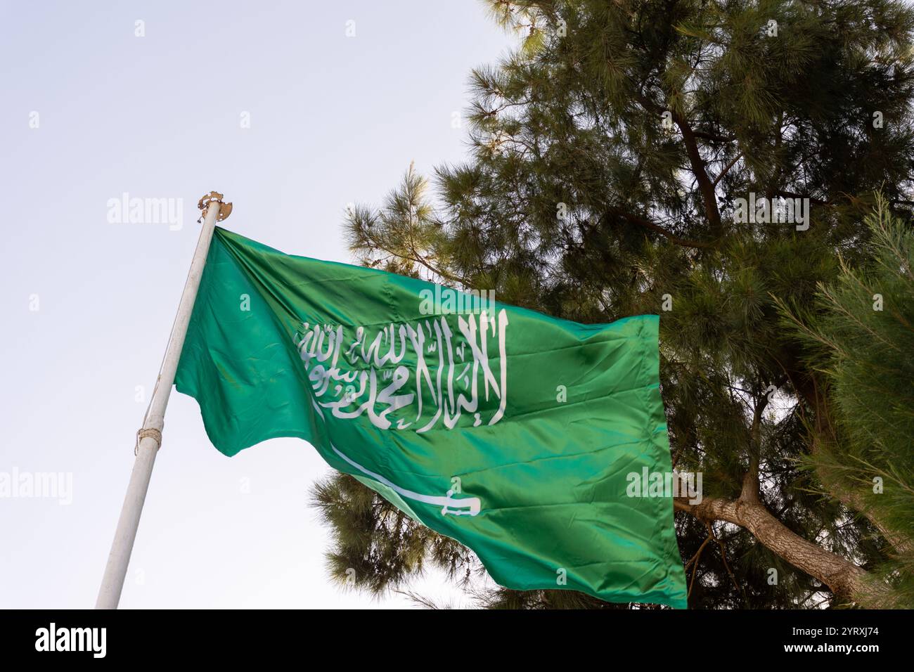 Vue en angle bas du drapeau national de l'Arabie saoudite contre un ciel dégagé. Banque D'Images