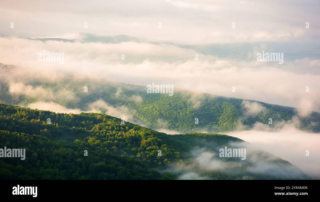 brouillard matinal dans les montagnes. paysage alpin. paysage de campagne au printemps. environnement naturel à couper le souffle. temps tranquille Banque D'Images