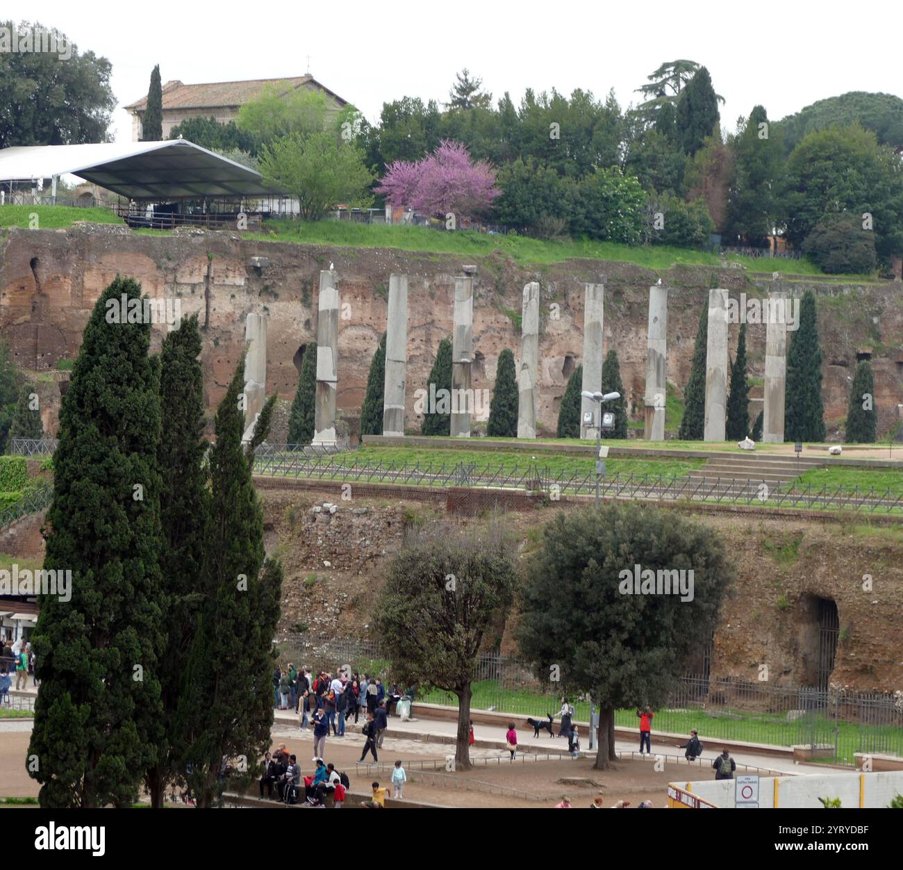Le temple de Vénus et Roma ; le plus grand temple de la Rome antique. Situé sur la colline Velian, entre le bord oriental du Forum Romanum et le Colisée, il était dédié aux déesses Vénus Félix ('Vénus le porteur de la bonne fortune') et Roma Aeterna ('Rome éternelle'). L'architecte était l'empereur Hadrien et la construction a commencé en 121. Il a été officiellement inauguré par Hadrien en 135, et terminé en 141 sous Antonin Pie. Banque D'Images
