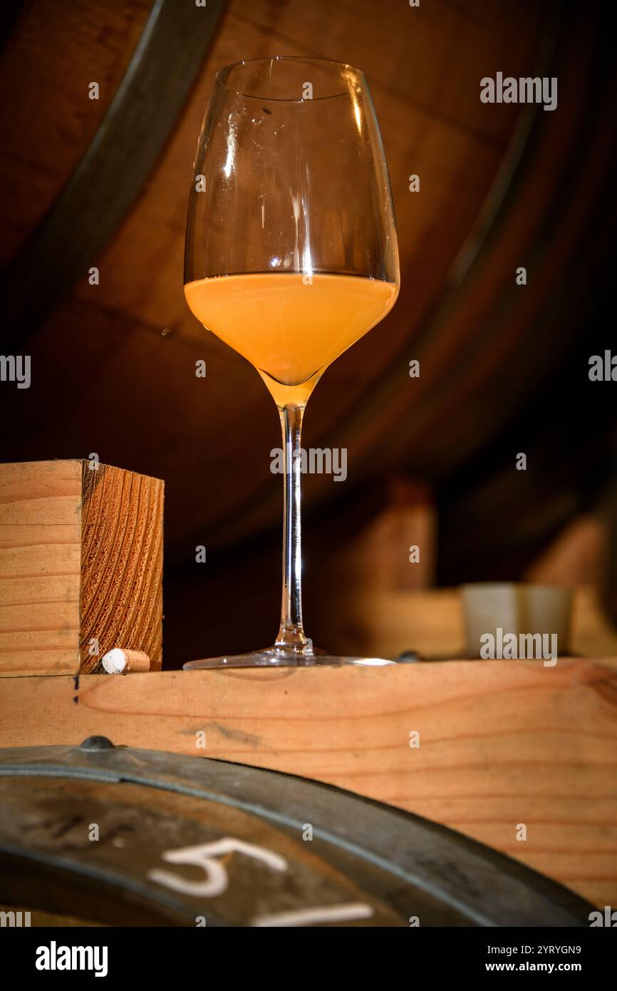Verre de bière Gueuze belge sur des fûts de chêne dans une authentique cave de brasserie, mettant l'accent sur le brassage traditionnel, le vieillissement en fûts et l'artisanat. Banque D'Images