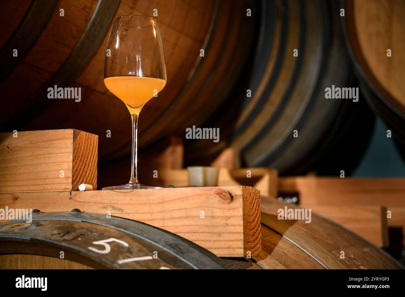 Verre de bière Gueuze belge sur des fûts de chêne dans une authentique cave de brasserie, mettant l'accent sur le brassage traditionnel, le vieillissement en fûts et l'artisanat. Banque D'Images