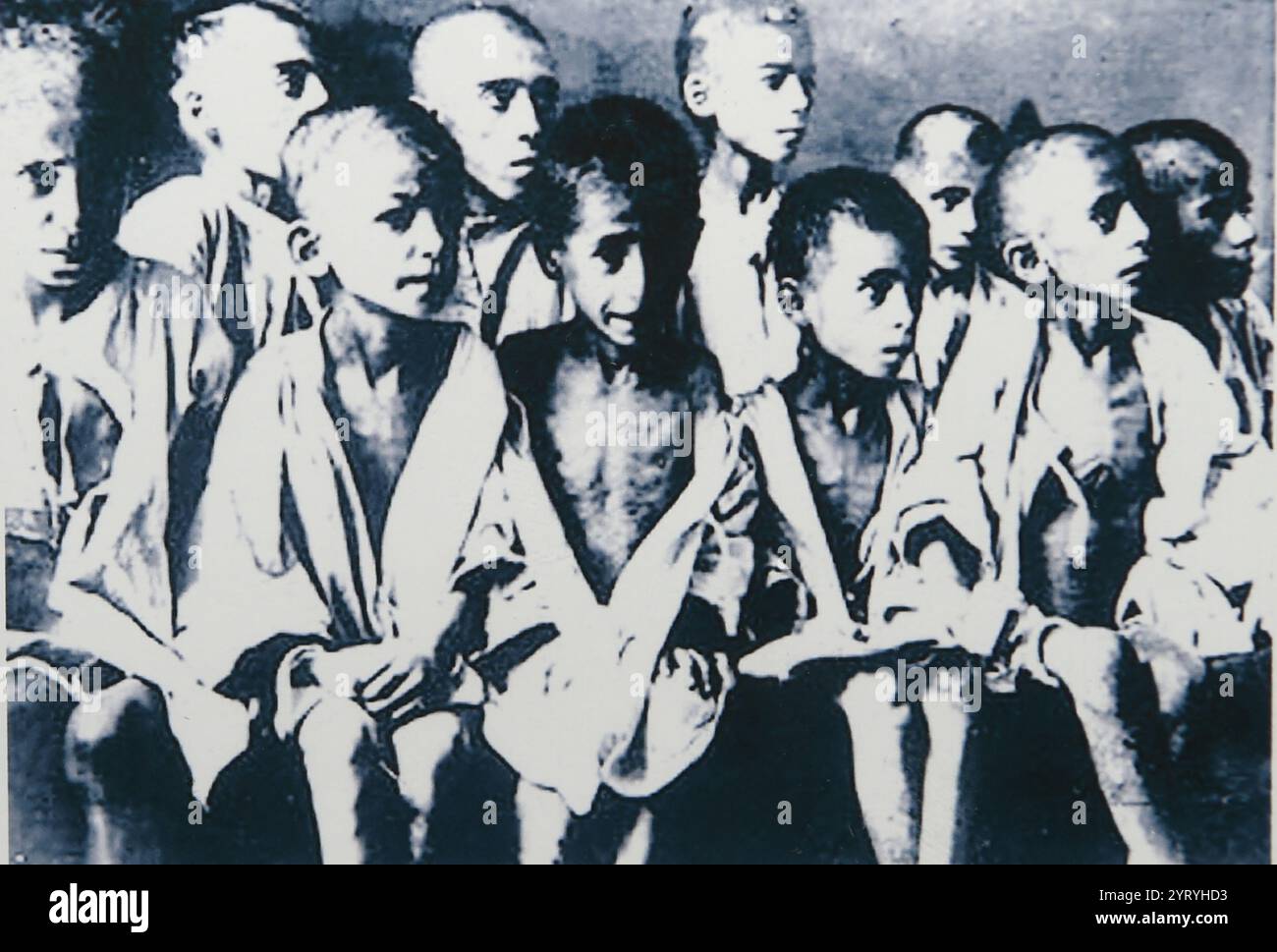Des enfants affamés emprisonnés à Ravensbr?CK, un camp de concentration allemand, pour femmes de 1939 à 1945, situé dans le nord de l'Allemagne. De 1942 à 1945, des expériences médicales ont été entreprises pour tester l'efficacité des sulfamides. Sur quelque 130 000 prisonnières qui sont passées par le camp de Ravensbr?CK, environ 50 000 d'entre elles ont péri ; quelque 2 200 ont été tuées dans les chambres à gaz. Banque D'Images