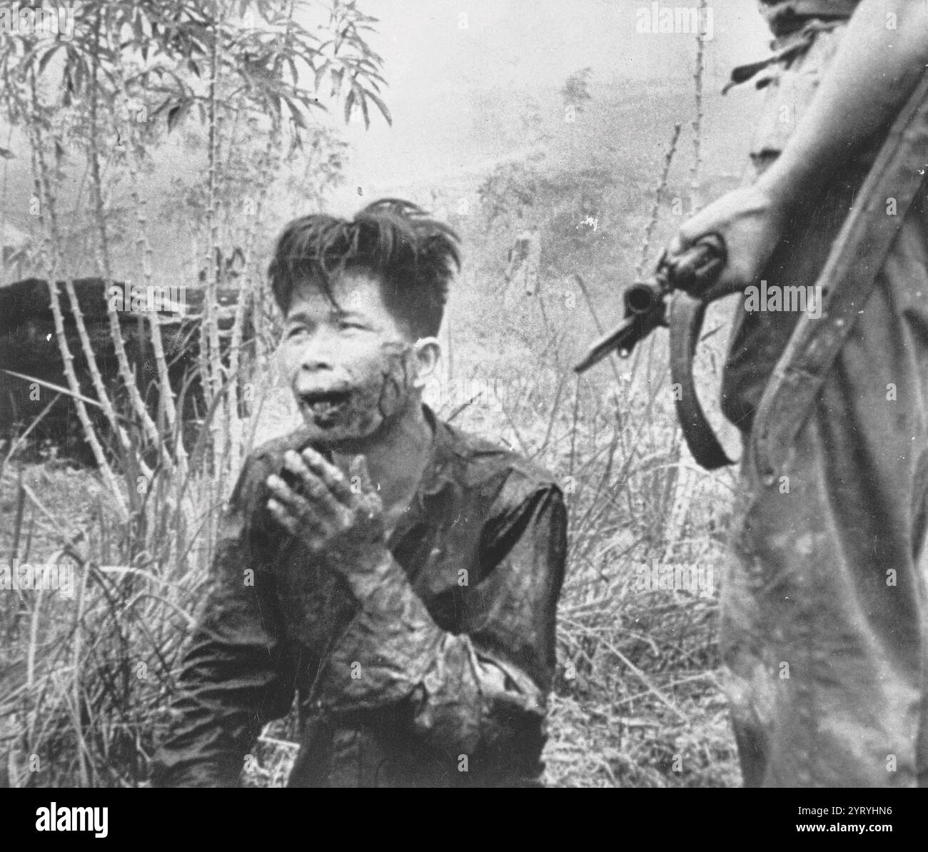 Une guérilla blessée est tenue sous la menace d'une arme à feu après sa capture, en Malaisie. 1952 Banque D'Images