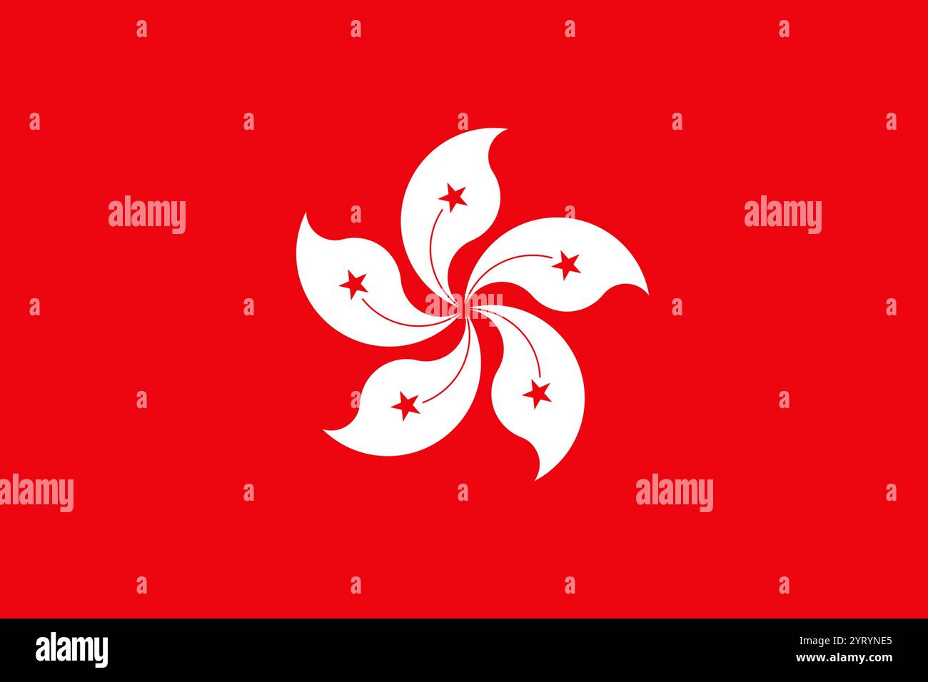 Le drapeau de la région administrative spéciale de Hong Kong de la République populaire de Chine représente une fleur blanche stylisée d'orchidée de Hong Kong (Bauhinia blakeana) au centre d'un champ rouge chinois. La conception du drapeau est inscrite dans la Loi fondamentale de Hong Kong. Le drapeau de Hong Kong a été officiellement adopté et hissé le 1er juillet 1997, lors de la cérémonie de remise marquant la remise du Royaume-Uni à la Chine. Banque D'Images