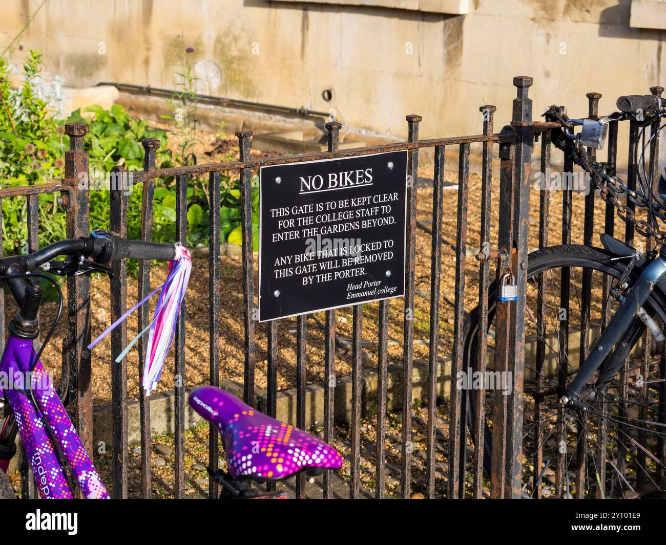 Cycles sur garde-corps, extérieur, Emmanuel College, Université de Cambridge, Cambridge, Cambridgeshire, Angleterre, Royaume-Uni, GB. Banque D'Images Cycles sur garde-corps, extérieur, Emmanuel College, Université de Cambridge, Cambridge, Cambridgeshire, Angleterre, Royaume-Uni, GB. Banque D'Images