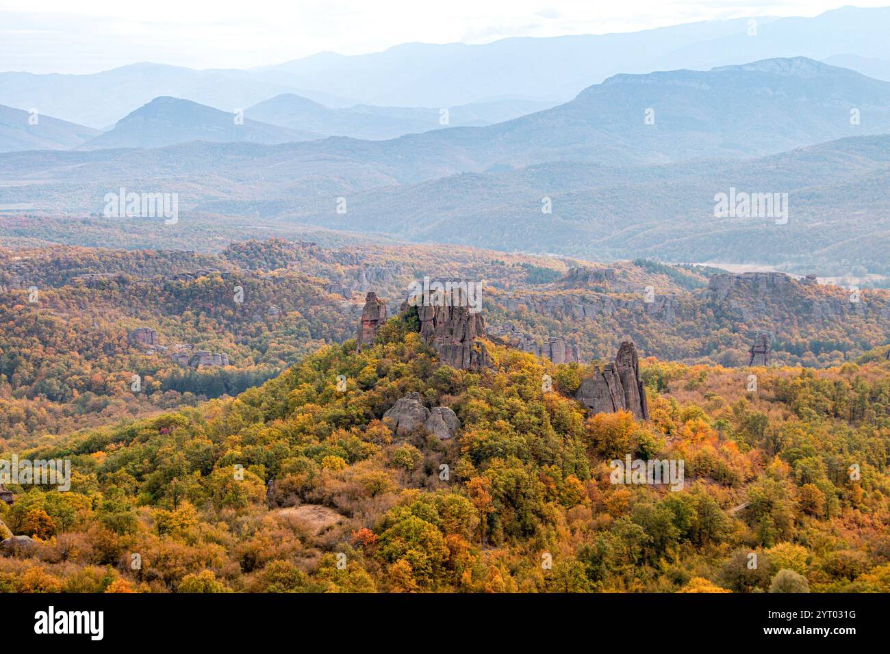 Les formations rocheuses emblématiques de Belogradchik, en Bulgarie, entourées de superbes forêts automnales et de paysages montagneux pittoresques des Balkans. Banque D'Images