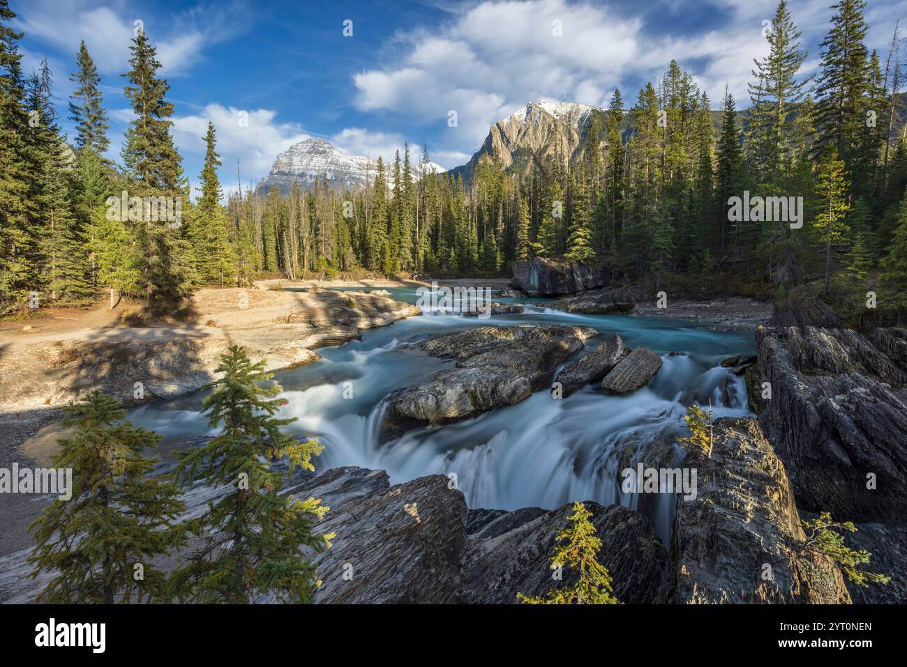 La rivière Kicking Horse à Natural Bridge dans le parc national Yoho, Colombie-Britannique, Canada. Automne (octobre) 2024. Banque D'Images