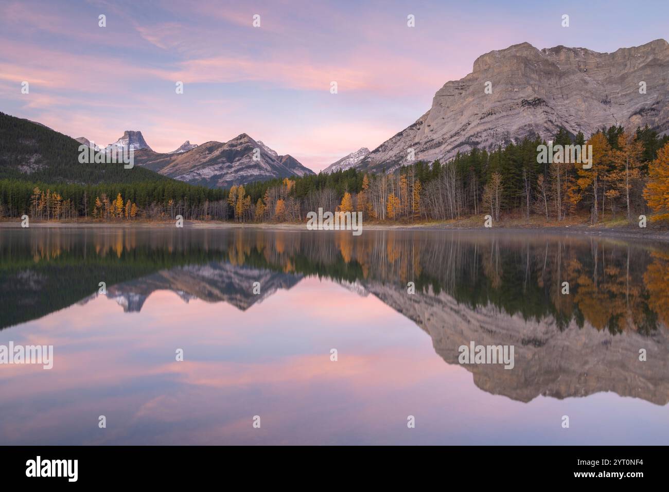 Ciel d'aube rose au-dessus de Wedge Pond dans le pays de Kananaskis, Alberta, Canada. Automne (octobre) 2024. Banque D'Images