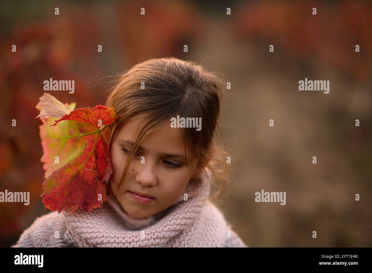 fille marchent sur le vignoble sur un coucher de soleil avec la feuille rouge rose à son visage Banque D'Images