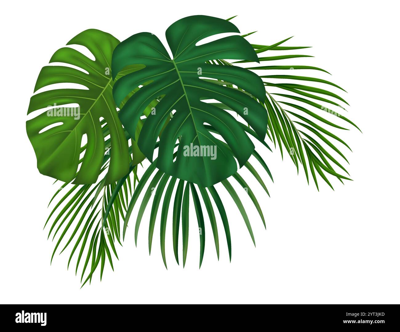 Feuilles de palmier tropical réalistes. Idéal pour flyer, invitation de partie, concept écologique. Illustration vectorielle Illustration de Vecteur Feuilles de palmier tropical réalistes. Idéal pour flyer, invitation de partie, concept écologique. Illustration vectorielle Illustration de Vecteur