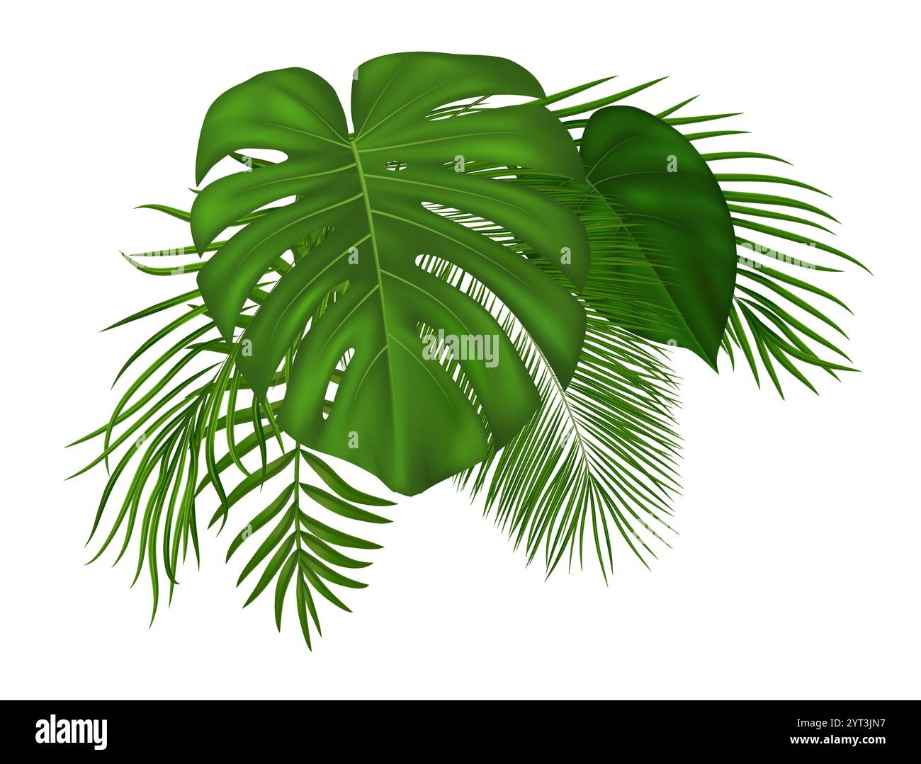 Feuilles de palmier tropicales d'été. Éléments de conception de jungle avec verdure tropicale exotique pour carte d'été, invitation, bannière, affiche. Illustration vectorielle Illustration de Vecteur