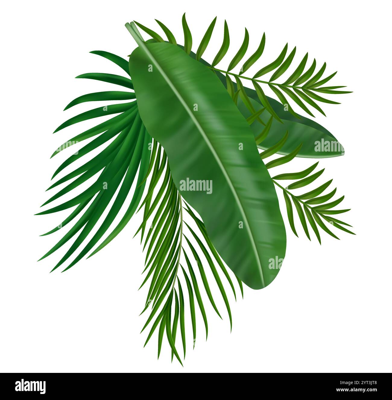 Feuilles de palmier vert tropical d'été. Design botanique exotique avec verdure magnifique pour invitation, bannière, affiche. Illustration vectorielle Illustration de Vecteur Feuilles de palmier vert tropical d'été. Design botanique exotique avec verdure magnifique pour invitation, bannière, affiche. Illustration vectorielle Illustration de Vecteur
