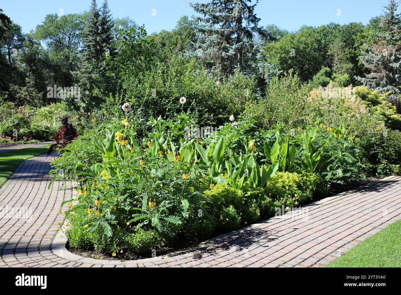 tableau de fleurs et de buissons à l'intersection de deux chemins Banque D'Images