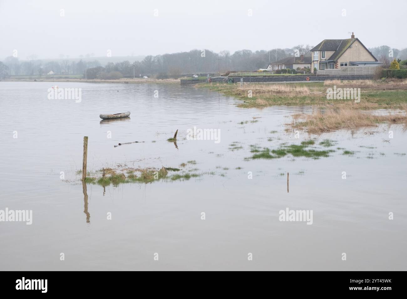 Mars 2024 la marée haute sur la rivière Nith après de fortes pluies menace les maisons du village de Glencaple, Dumfries et Galloway, en Écosse. Banque D'Images
