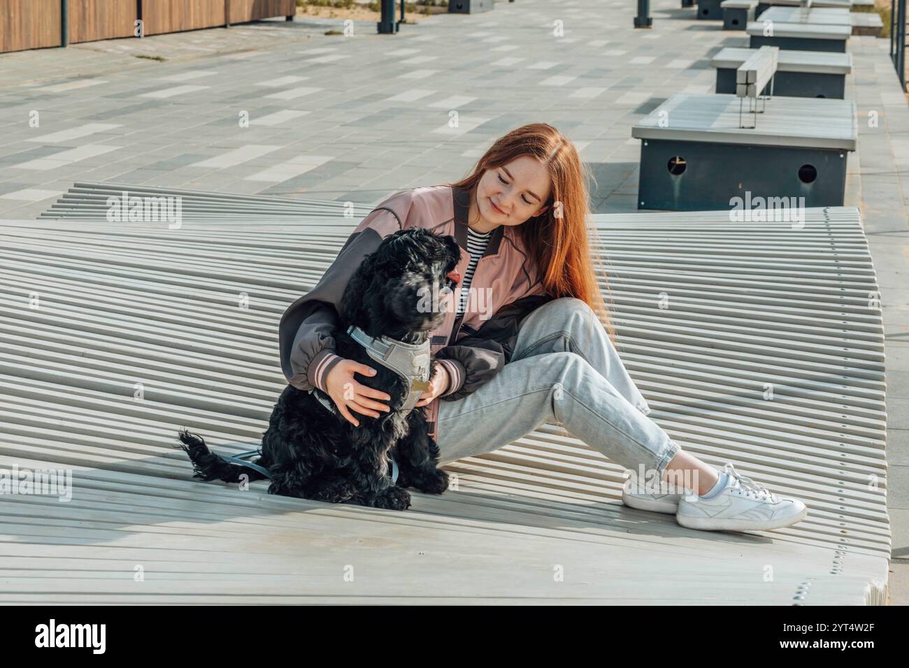 voyager avec un animal de compagnie. expériences en plein air, vous et votre animal de compagnie Banque D'Images