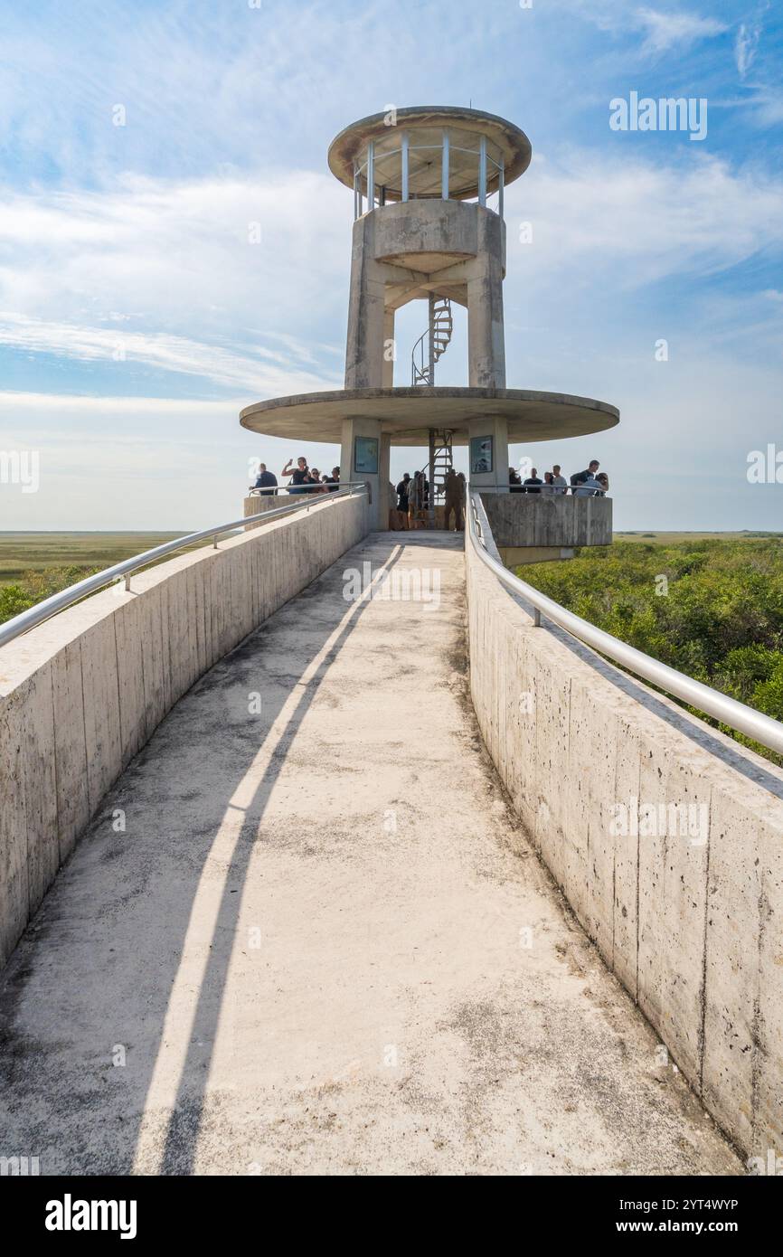 Tour d'observation de Shark Valley, parc national des Everglades, Floride, États-Unis Banque D'Images