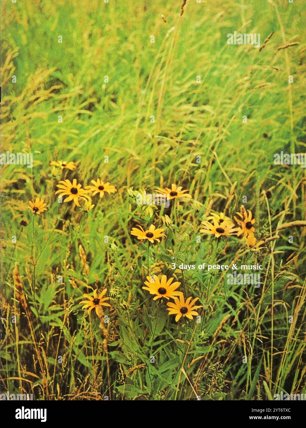 Festival de Woodstock - 3 jours de paix et de musique - livret du programme de la foire de musique et d'art, août 1969 Banque D'Images