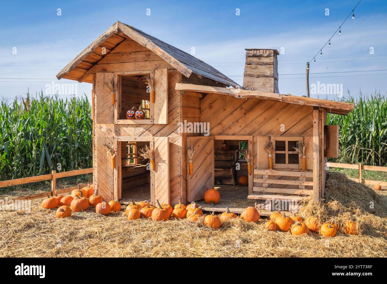 maison miniature en bois recouverte de paille et de citrouilles dans une ferme éducative, villorba, province de trévise, vénétie, italie Banque D'Images