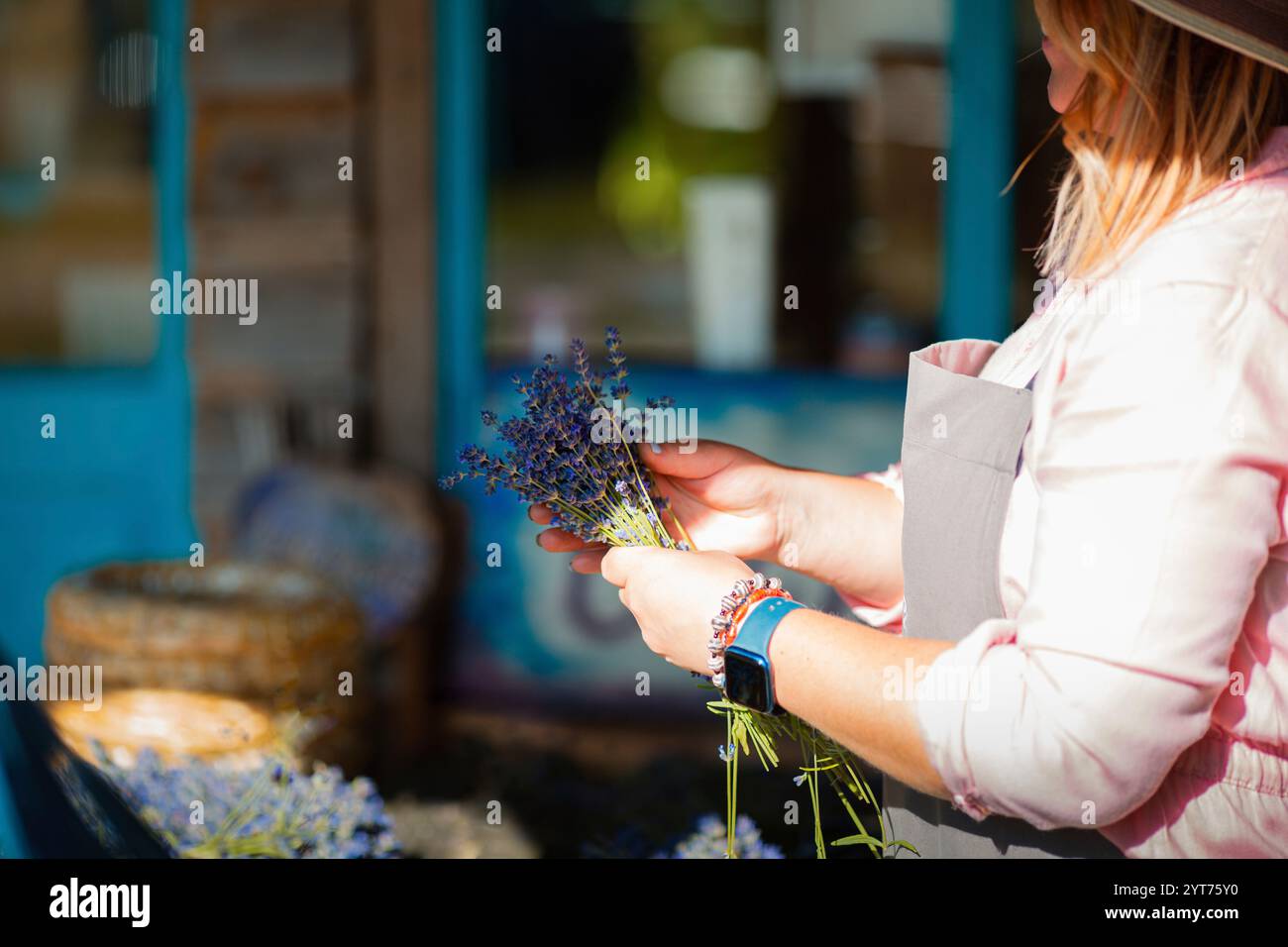 Femme attachant un bouquet de lavande Banque D'Images