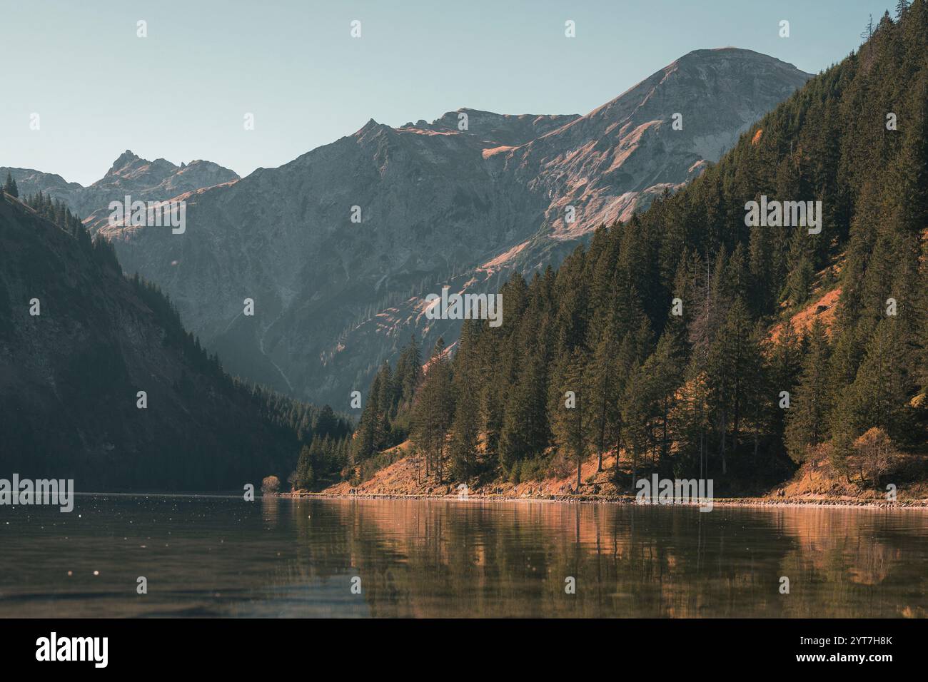 Vue sur le lac de Vilsalpsee, reflétant la forêt environnante et les montagnes des Alpes de Allgäu. Atmosphère automnale à cette destination d'excursion populaire avec un ciel bleu et une vue dégagée jusqu'au fond du lac. Banque D'Images